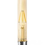 Lâmpada Vintage T30 LED Filamento 4W 2400K Âmbar 440lm Bivolt LLFT30204B Lumanti