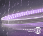 Fita LED RGB Praxis 16mm 220V IP65 18W Lumanti - Imagem 3