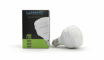 Lâmpada LED bulbo T80 40W 6500K E27 bivolt Lumanti - Imagem 2