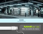 Lâmpada tubular LED HO T8 2385mm 40W 6500K bivolt Lumanti - Imagem 5