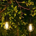 Varal de luzes festão 5m 10 soquetes E27 Lumanti vlf510 - Imagem 3
